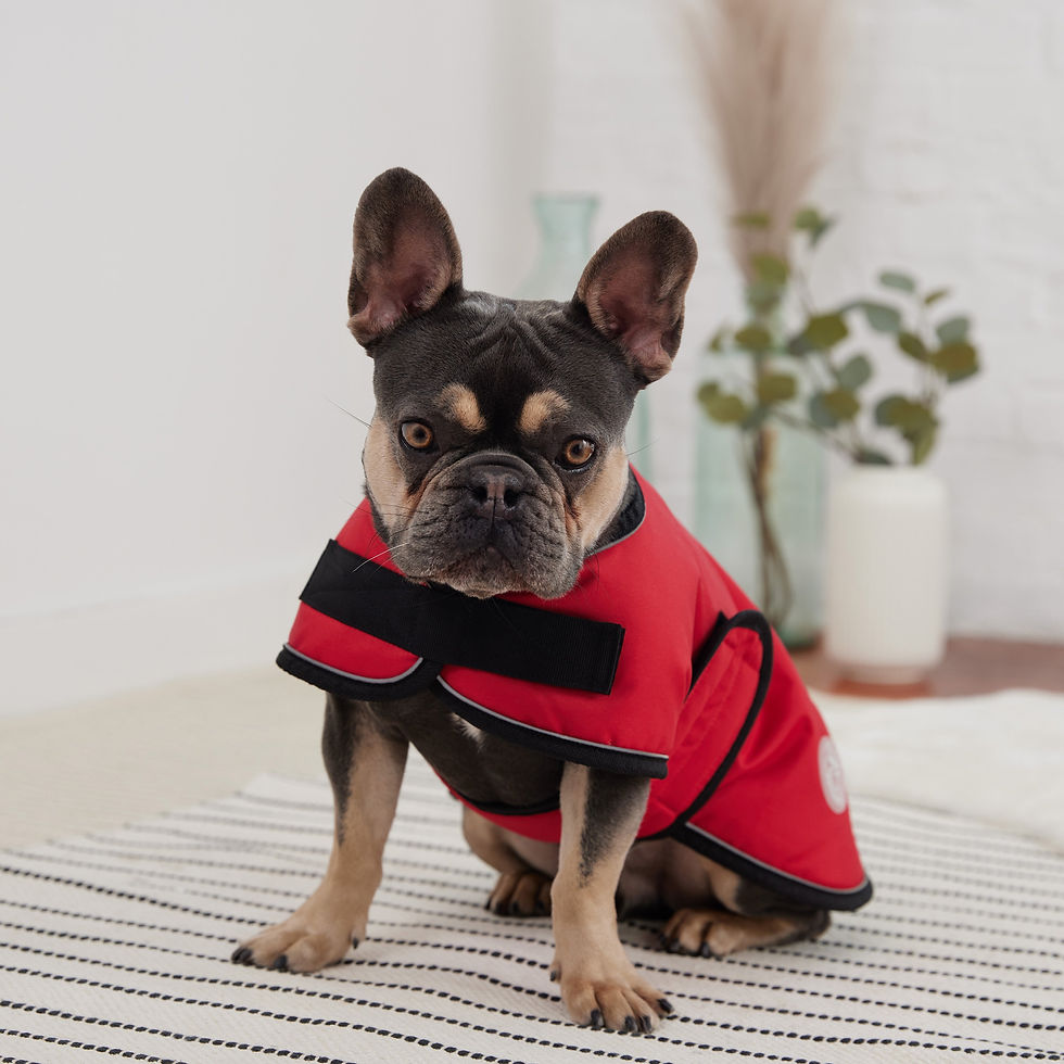 Thumbnail: Blanket Jacket - Red