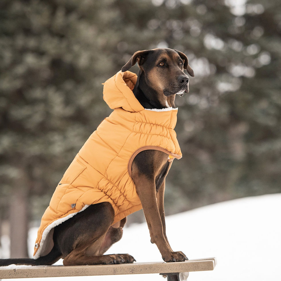 Thumbnail: The Puff Parka - Yellow