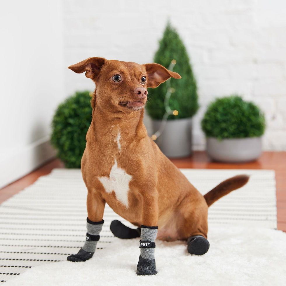 Thumbnail: All Terrain Boots - Charcoal