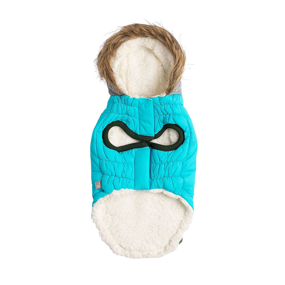 Thumbnail: Winter Sailor Parka - Aqua