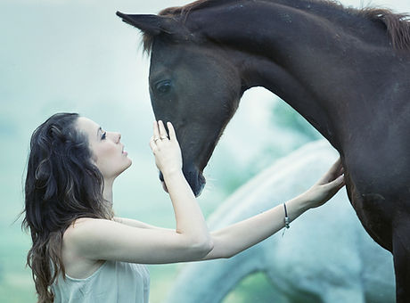 Girl and Horse