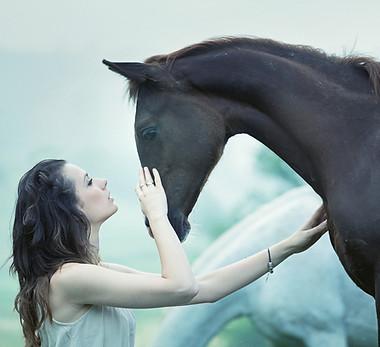 médiation animale, équithérapie