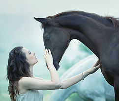 Girl and Horse