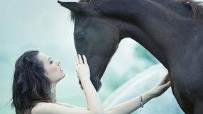 Courting A Colt