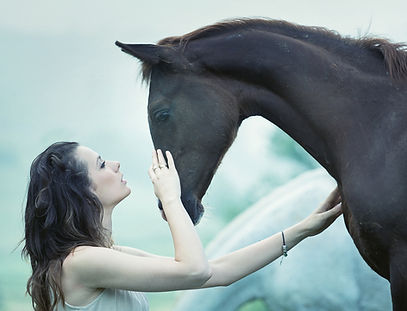 Girl and Horse
