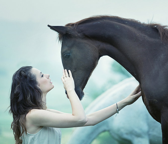 Girl and Horse