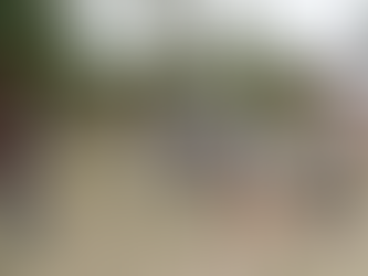 Escola Municipal José Honorato celebra raízes africanas e indígenas com desfile cultural