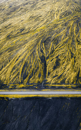 A moss on a black sand and a road. (Iceland.).