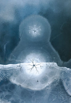 A frozen pond near its shore. (Southern Bohemia, Southern Czech Republic).