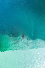 River mouth bringing dead trees and sediments into the lake.
