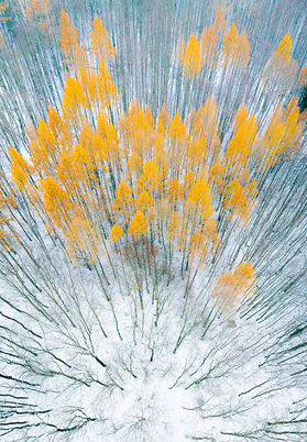  (Central Bohemia, Central Czech Republic).