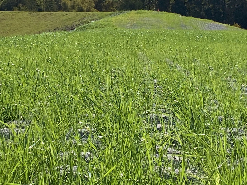 tapis anti-érosion