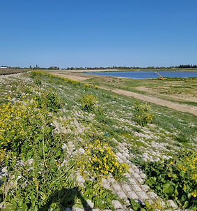 20230419_165155 - Copy.jpg