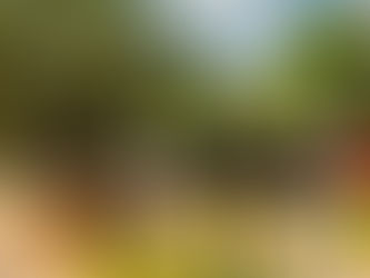 HOA Mailbox Requirements & Compliance Guide for Georgia Communities