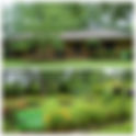 Wesson Garden Club Honor yards