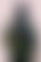 Obituary: Tommy Earl "T Dog" Kelly, Sr.