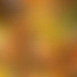 Making your own broth is not as weird as it sounds