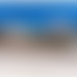 Museum of Mississippi History and Mississippi Civil Rights Museum Celebrate 5 Years