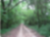 The Untouched History of Old Bridgeport Road in Bolton, Mississippi