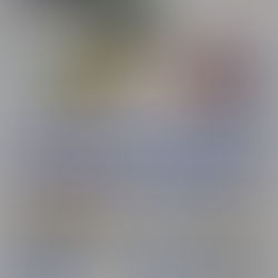 Join the Celebration: Bolton-Edwards' New Stadium & Game Day