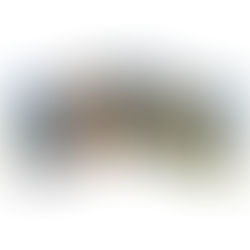 Wesson Public Library adds books for youth