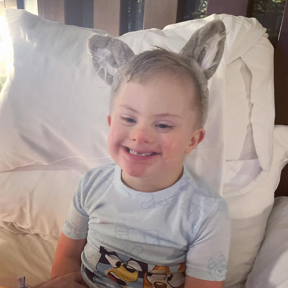 Hudson's Journey: EXTRA Audibles