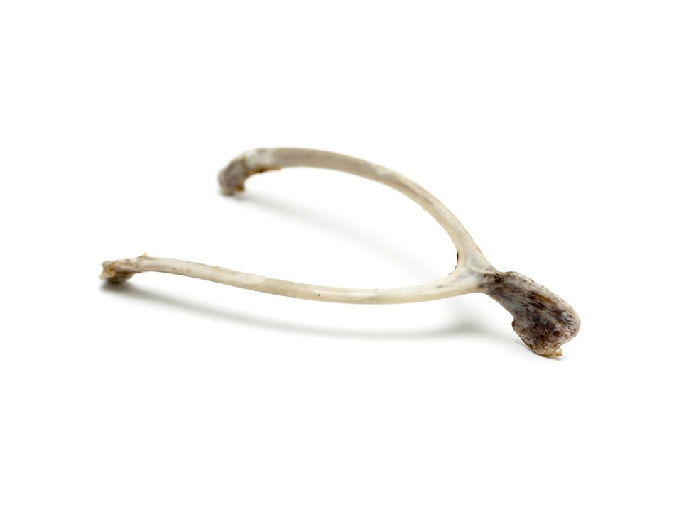 CoffeeTime: "The Middle of the Wishbone"