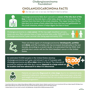 Join Us in Supporting World Cholangiocarcinoma Day on February 19
