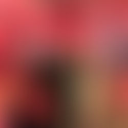 MCM Partners Signature Event, Ignite the Night: From Sea to Shining Sea, to be held at the Mississippi Children’s Museum