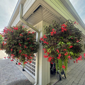Adding color to porches & decks