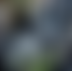 Movie Review: “The Mandalorian and Grogu”