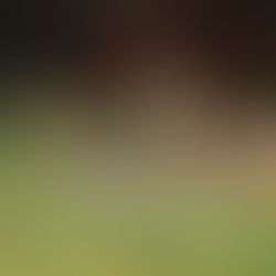 Gaddis & McLaurin plans hunting appreciation event