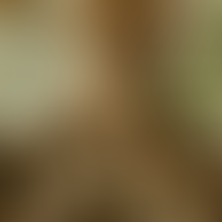 Faith: The pathway to holiness