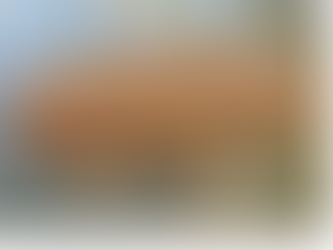 Amazing Living Creatures – Prepare to be AMAZED!