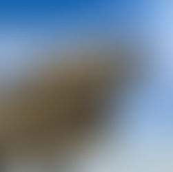 CoffeeTime: “Learn to Backburner the Unbeautiful”