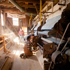 Mississippi Agriculture and Forestry Museum Hosts Annual Harvest Festival