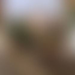 Library helps town Christmas celebration