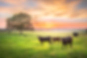 Ag value hits $9 billion