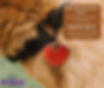 BARL Events Taking Place on July 8