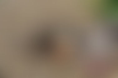 “ATTACK-MODE ANGRY MALE”