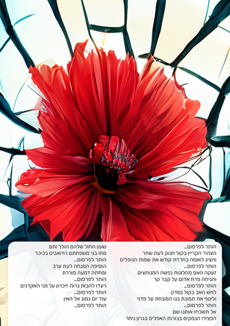 Iron Swords Poster | Allowed for publication A picture of a red flower on broken glass with a text I wrote- a post about the soldiers who fell in the Iron Swords War