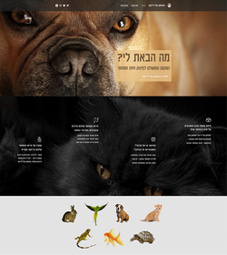 leika's warehouse landing page - top