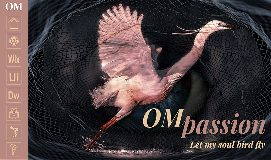 שער פורטפוליו מלא בוויקס OM Passion