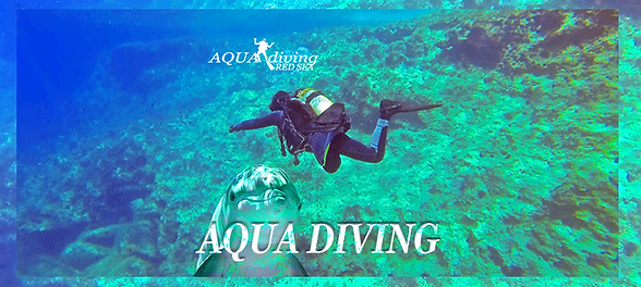 Aqua Diving - wix site - strip