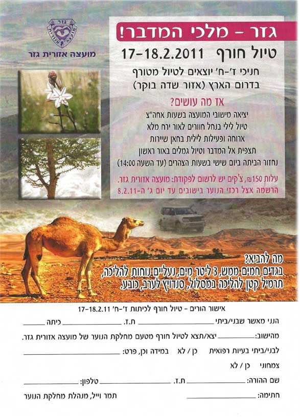 פלייר ״גזר - מלכי המדבר!״