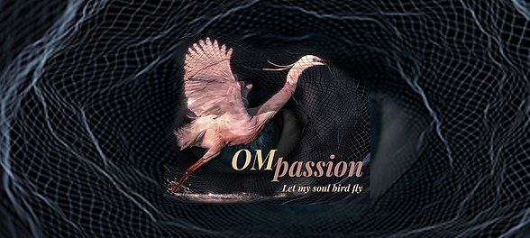 OM-passion portfilio - strip