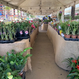 Feira Jampa Mais Verde marca chegada da primavera em João Pessoa