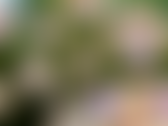 HPV: 80% das pessoas terão contato com o vírus. Saiba como prevenir