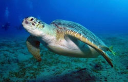 IMG-20210420-WA0019