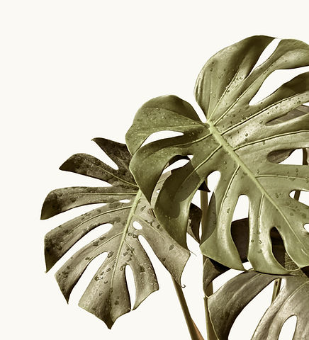 AdobeStock_327991775.jpeg